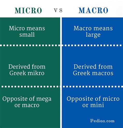The Difference Between Mega, Macro, Micro and .